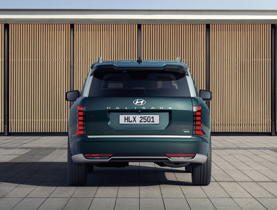 Focos traseros combinadas LED.