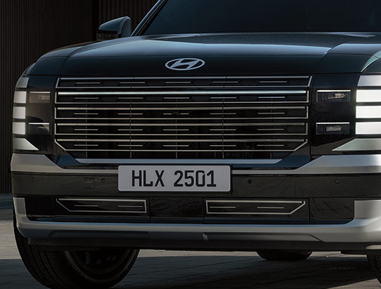 Parrilla delantera robusta.