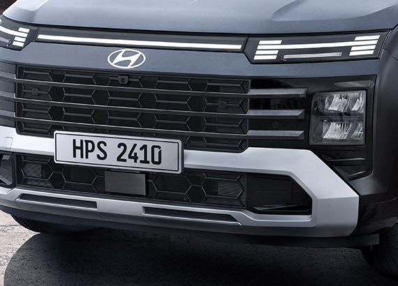 Parrilla cromada negra.