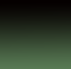 Verde techo negro